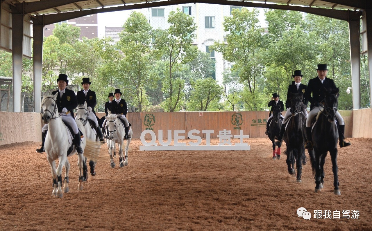 日产贵士mpv试驾视频,mpv日产贵士