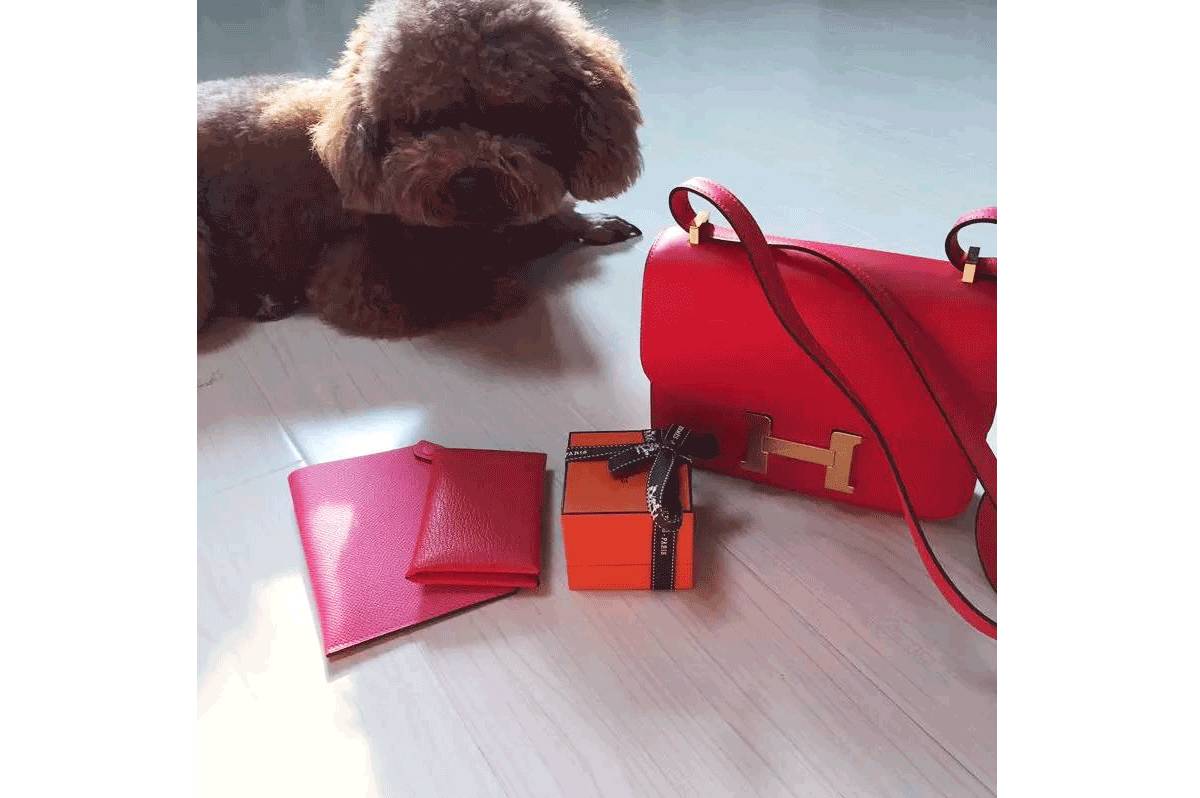 粉丝寄的礼物最后一件太惊喜了,粉丝寄来最想要的礼物