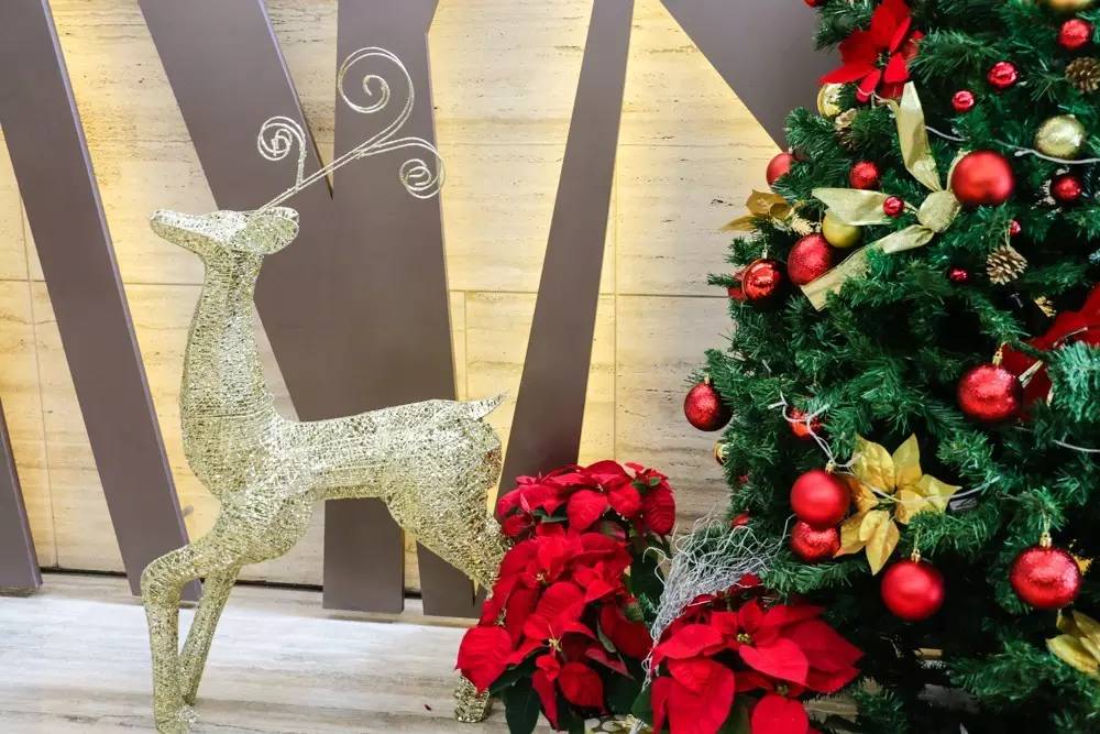 谁是2016最美圣诞酒店？