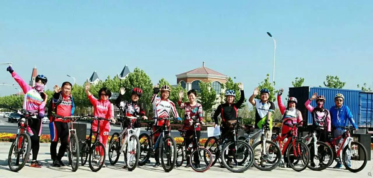 山东猪坚强,猪坚强512