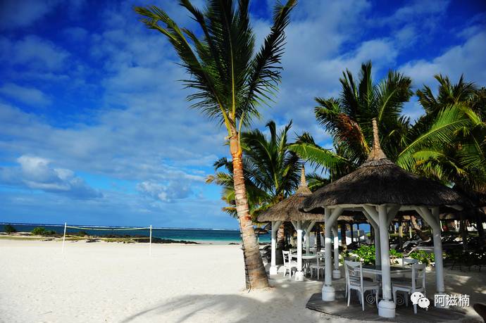 新的一年有很多事情要做,新的一年新的事