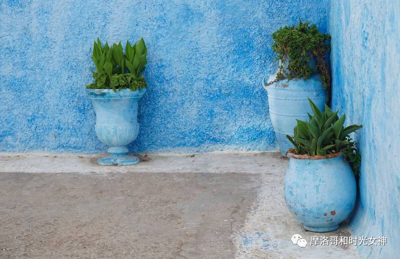 涓浗娓稿涓嶆兂鍘诲鍥界帺,鎽╂礇鍝ュ崥鐗╅