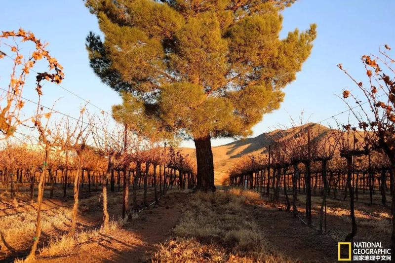 自驾游西部世界,这条世界级的自驾公路