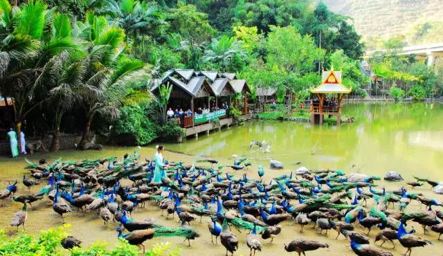 沪昆高铁上海虹桥开往昆明南,沪昆高铁昆明始发车次