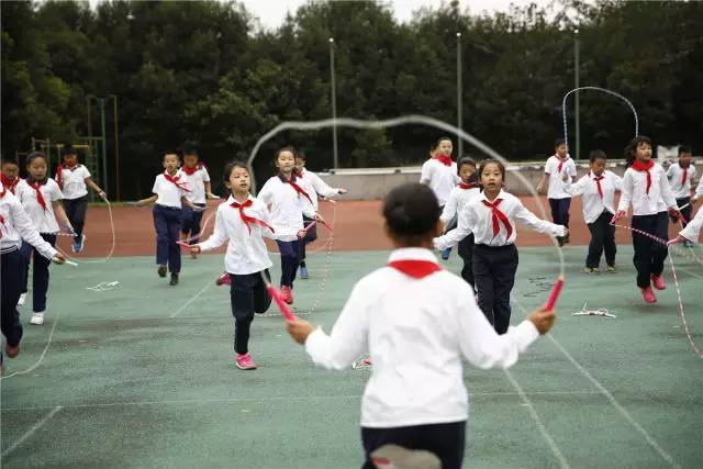 瞧,教育导报记者镜头下的2016!