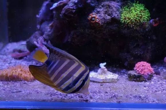 玩的真溜，三千玩出了三万的水平！