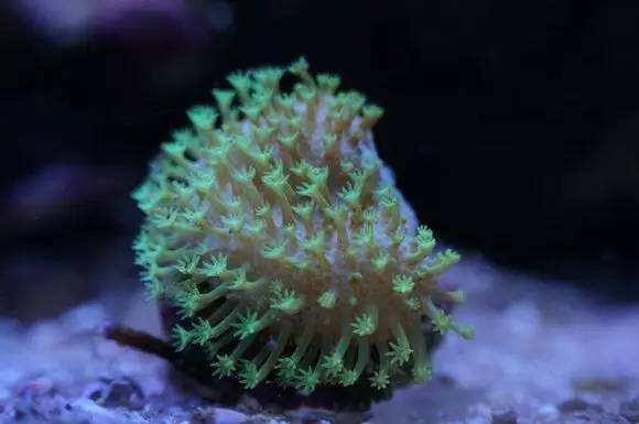 玩的真溜，三千玩出了三万的水平！