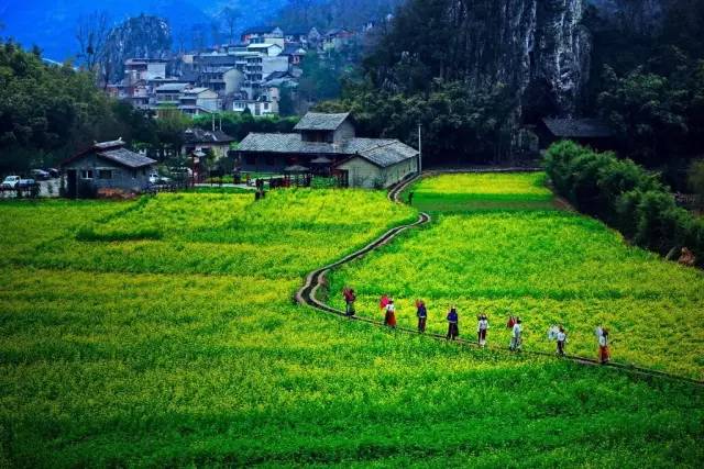 沪昆高铁上海虹桥开往昆明南,沪昆高铁昆明始发车次