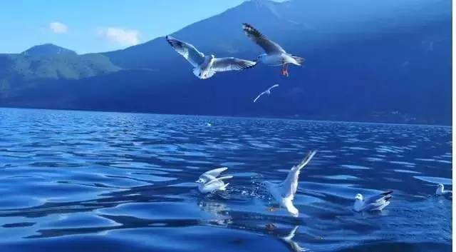 沪昆高铁上海虹桥开往昆明南,沪昆高铁昆明始发车次