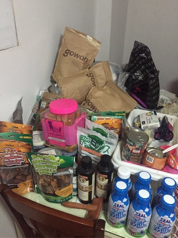 怕了24年的狗狗,却遇见了改变她一生的狗狗