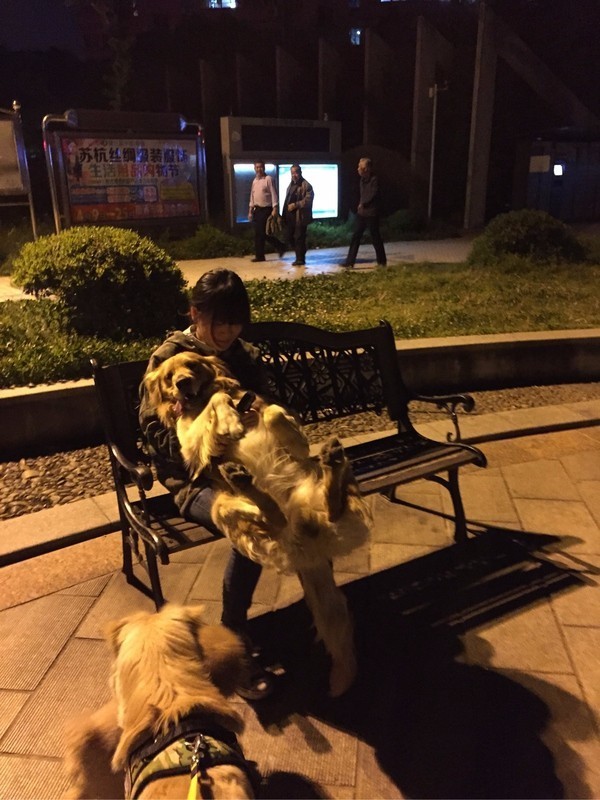 怕了24年的狗狗,却遇见了改变她一生的狗狗