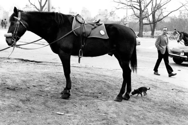 大师病逝送行,大师追悼会