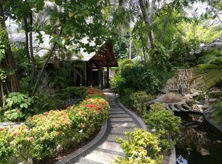 马尔代夫旅行回忆,马尔代夫经济型岛屿