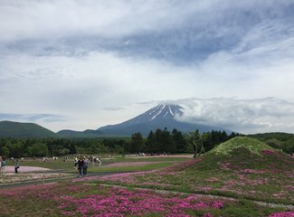 去东京住airbnb,相识十年从一个人到一家四口