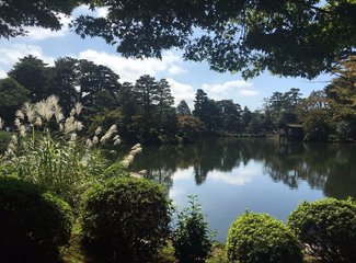 盛世公主号邮轮五日行程安排,千禧号豪华游轮图片