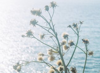 济州岛游记记录,济州岛的春天旅行日记