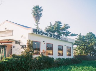 济州岛游记记录,济州岛的春天旅行日记