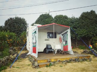 济州岛游记记录,济州岛的春天旅行日记