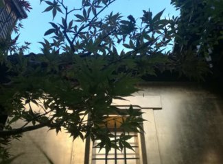 乘邮轮旅游的10大优点,乘邮轮旅行