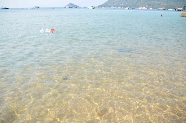 难忘蜜月结局,苏梅岛蜜月旅行