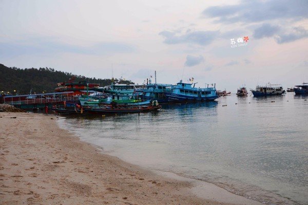 难忘蜜月结局,苏梅岛蜜月旅行