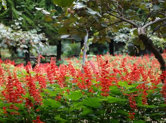 璇磋蛋灏辫蛋甯︿笂瀛欏コ鏃呰,璇磋蛋灏辫蛋甯﹀濡堝幓鏃呰