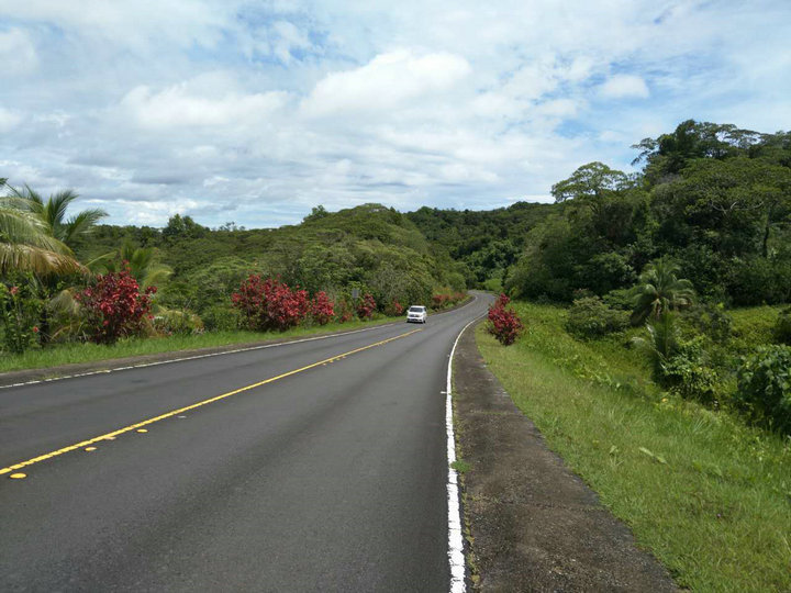 帕劳怎么玩,我来教你怎么玩打野