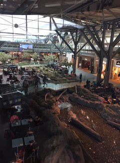 美加自驾游,美加跨境自驾游