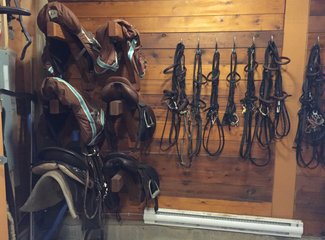 美加自驾游,美加跨境自驾游