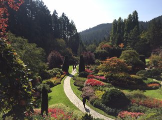 美加自驾游,美加跨境自驾游