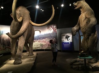 美加自驾游,美加跨境自驾游