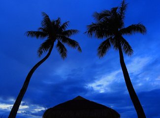 离天堂最近的地方张杰,离天堂最近的地方歌曲