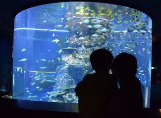 去抓住夏天的尾巴--WSM大魔王坡县纪行