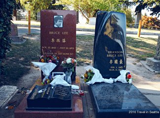 西雅图极光攻略,费尔班克斯极光旅游攻略