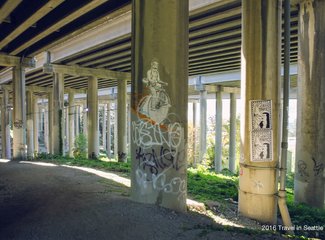 西雅图极光攻略,费尔班克斯极光旅游攻略