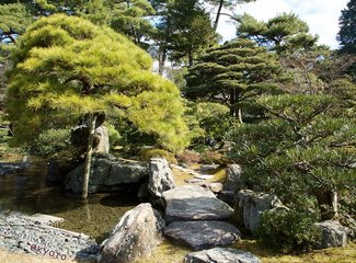 逛不尽的东瀛－二刷日本十五天