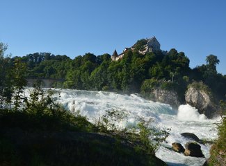 鲜花在脚下，雪山在前方——小淘淘2016年暑假瑞士徒步记