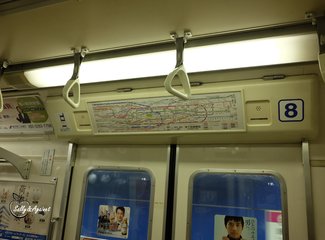 带着24个月小囡十一寸又峡寻密+东京+镰仓伊豆+横渡骏河湾观富士山+附详细交通攻略