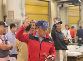 带着24个月小囡十一寸又峡寻密+东京+镰仓伊豆+横渡骏河湾观富士山+附详细交通攻略