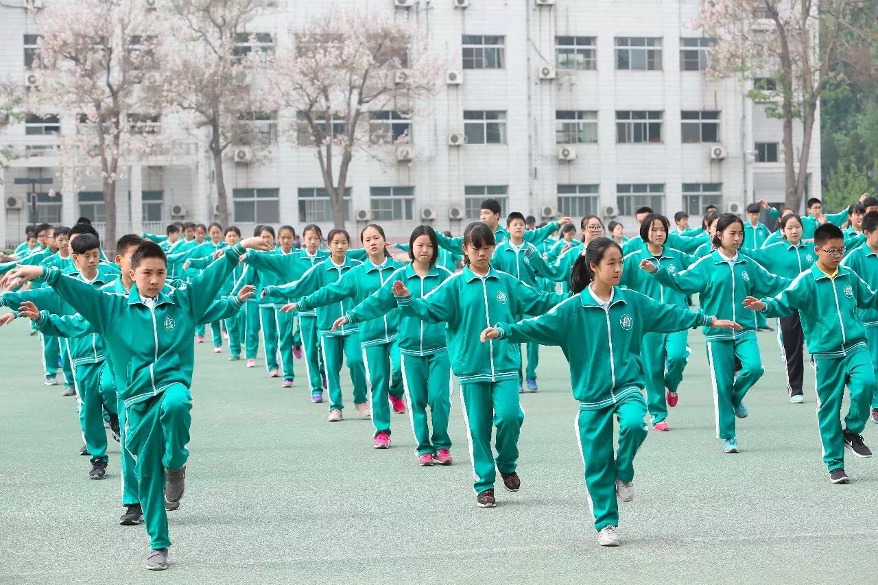 体育心得体会感悟短句,感悟体育的作文600字