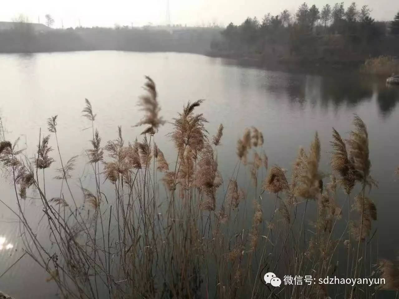 茶香余味图片大全,闻茶香品余味