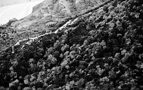 太原市生态修复规划,生态修复筑牢绿色屏障