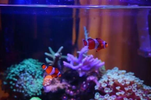 玩的真溜，三千玩出了三万的水平！