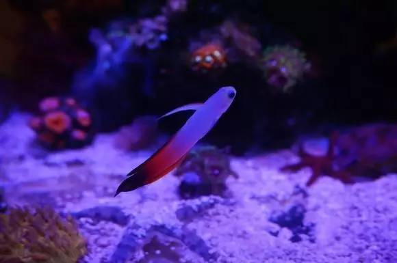 玩的真溜，三千玩出了三万的水平！