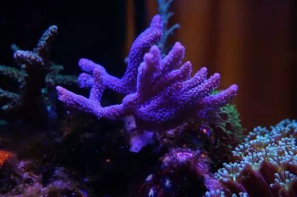 玩的真溜，三千玩出了三万的水平！