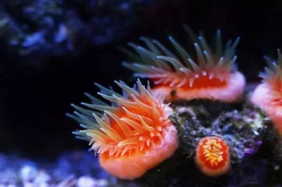 玩的真溜，三千玩出了三万的水平！