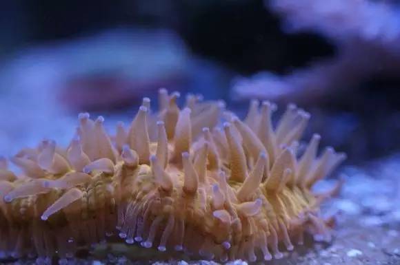 玩的真溜，三千玩出了三万的水平！