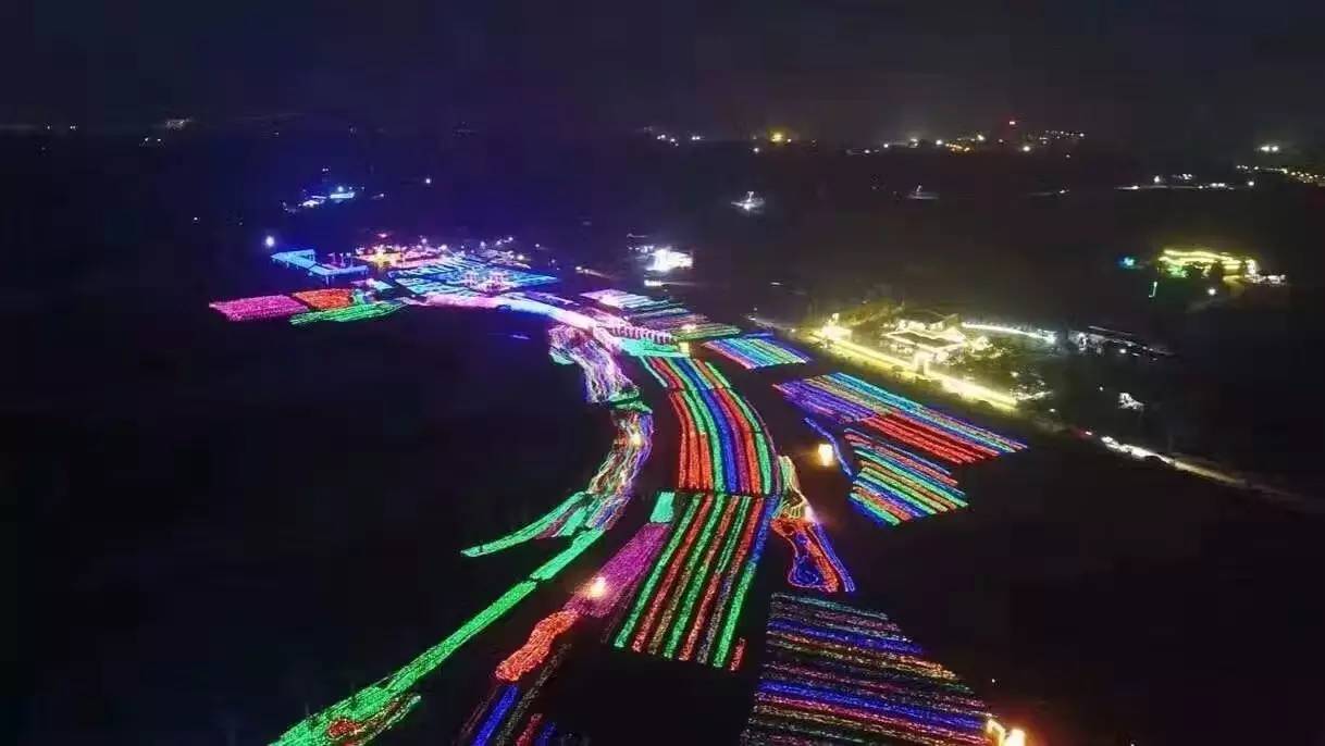 南宁格桑花,助力赢门票