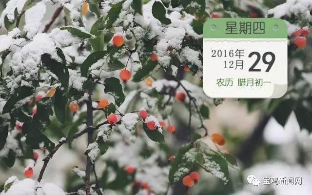 12月29日新闻摘要,12月19日新闻简短摘抄