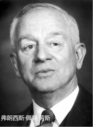 健康周吃啥,健康知识科普周